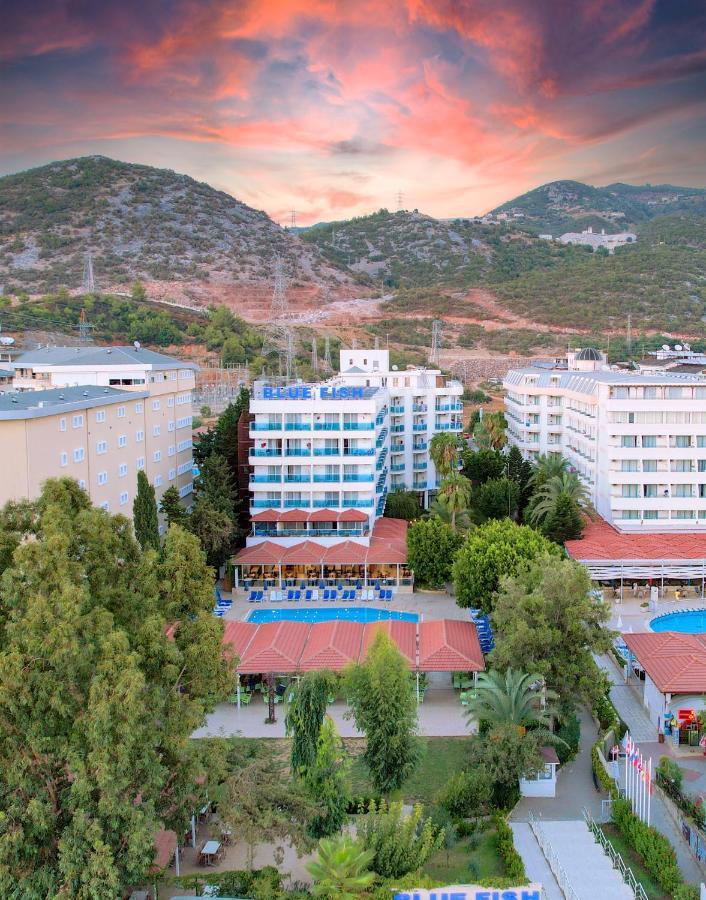 Blue Fish Hotel Konaklı Eksteriør billede